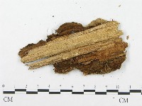 登錄號:F0007292藏品圖，第3張