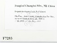 登錄號:F0007293藏品圖，第2張