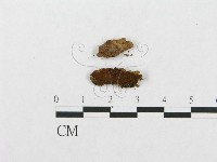 登錄號:F0007293藏品圖，第3張