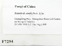 登錄號:F0007294藏品圖，第2張