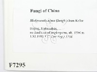 登錄號:F0007295藏品圖，第2張