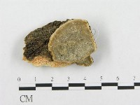 登錄號:F0007295藏品圖，第1張