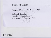 登錄號:F0007296藏品圖，第2張