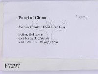 登錄號:F0007297藏品圖，第2張