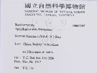 登錄號:F0007297藏品圖，第3張