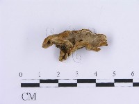 登錄號:F0007297藏品圖，第4張