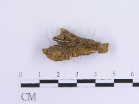 登錄號:F0007297藏品圖，第5張