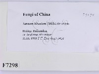 登錄號:F0007298藏品圖，第2張