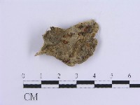 登錄號:F0007298藏品圖，第4張