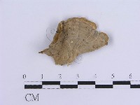 登錄號:F0007298藏品圖，第5張