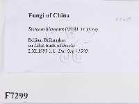 登錄號:F0007299藏品圖，第2張