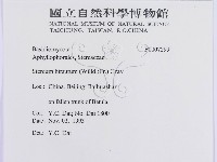 登錄號:F0007299藏品圖，第3張