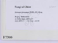 登錄號:F0007300藏品圖，第2張