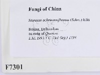 登錄號:F0007301藏品圖，第2張