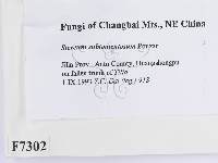 登錄號:F0007302藏品圖，第2張