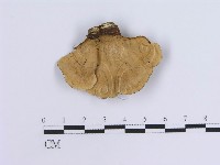 登錄號:F0007302藏品圖，第1張