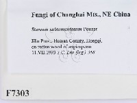登錄號:F0007303藏品圖，第2張