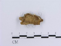 登錄號:F0007303藏品圖，第1張
