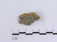 登錄號:F0007303藏品圖，第3張