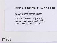 登錄號:F0007305藏品圖，第2張