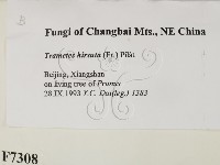 登錄號:F0007308藏品圖，第2張