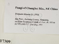 登錄號:F0007309藏品圖，第2張