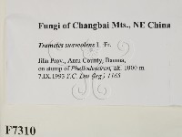 登錄號:F0007310藏品圖，第2張