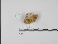 登錄號:F0007310藏品圖，第3張