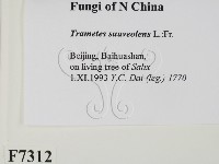 登錄號:F0007312藏品圖，第2張