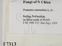 登錄號:F0007313藏品圖，第2張