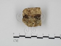 登錄號:F0007313藏品圖，第1張