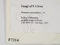 登錄號:F0007314藏品圖，第2張