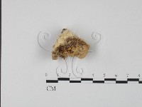 登錄號:F0007314藏品圖，第1張