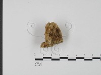 登錄號:F0007314藏品圖，第3張