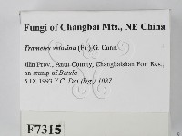 登錄號:F0007315藏品圖，第2張