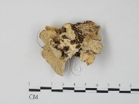 登錄號:F0007315藏品圖，第3張