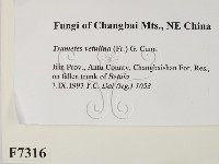 登錄號:F0007316藏品圖，第2張