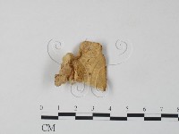 登錄號:F0007316藏品圖，第1張