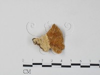 登錄號:F0007316藏品圖，第3張