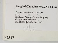 登錄號:F0007317藏品圖，第2張