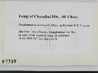 登錄號:F0007319藏品圖，第2張