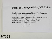 登錄號:F0007321藏品圖，第2張