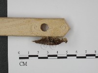 登錄號:F0007321藏品圖，第3張