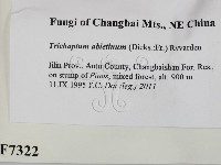 登錄號:F0007322藏品圖，第2張