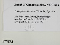 登錄號:F0007324藏品圖，第2張