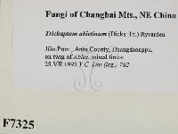 登錄號:F0007325藏品圖，第2張