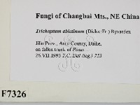 登錄號:F0007326藏品圖，第2張