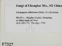 登錄號:F0007327藏品圖，第2張