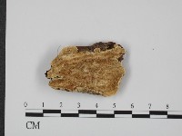 登錄號:F0007327藏品圖，第1張