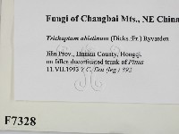 登錄號:F0007328藏品圖，第2張